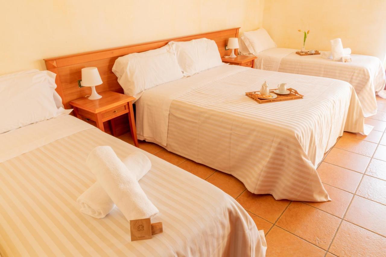 Mediterraneo Tartufoexperience Bed & Breakfast Пицо Екстериор снимка