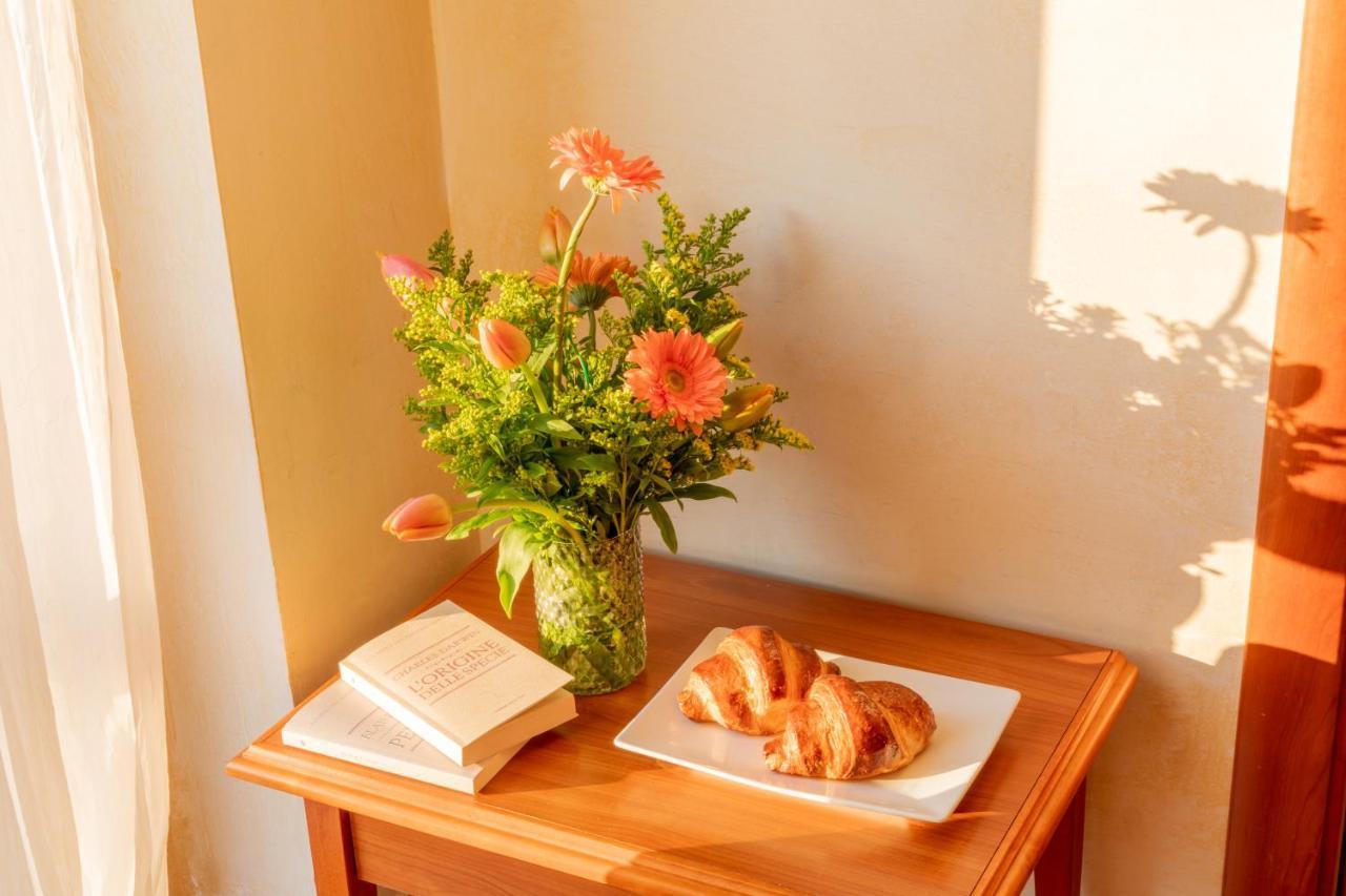 Mediterraneo Tartufoexperience Bed & Breakfast Пицо Екстериор снимка
